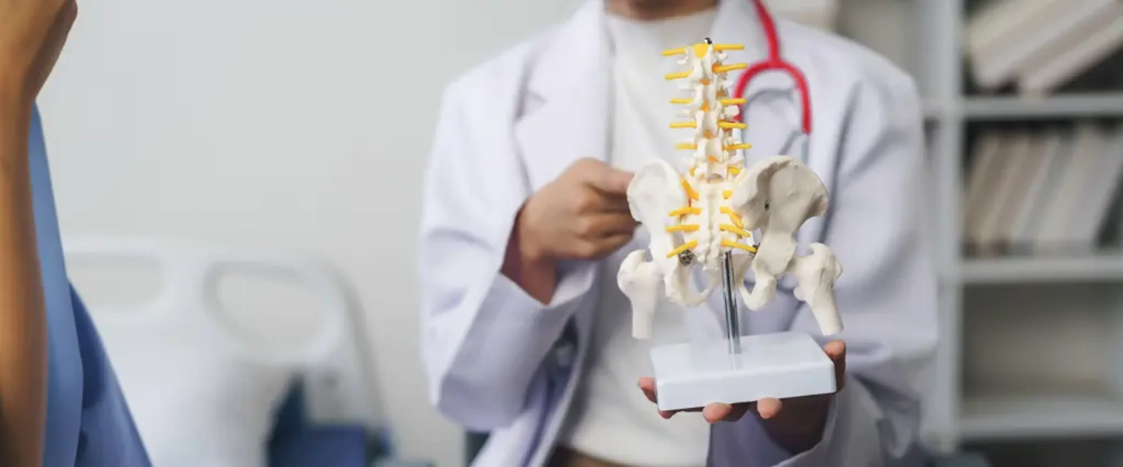 Hip Replacement Korea