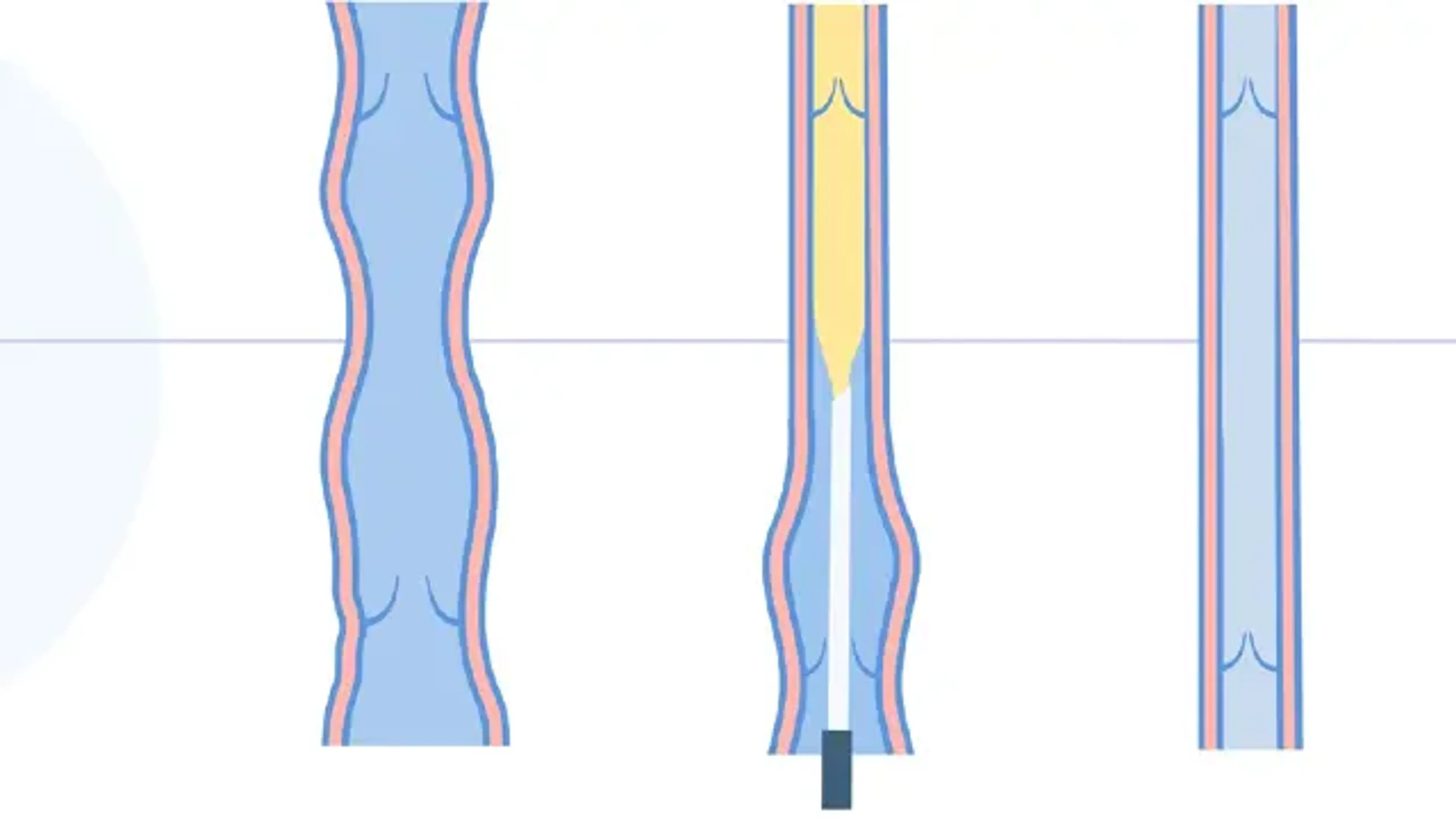 Charm Vascular Clinic