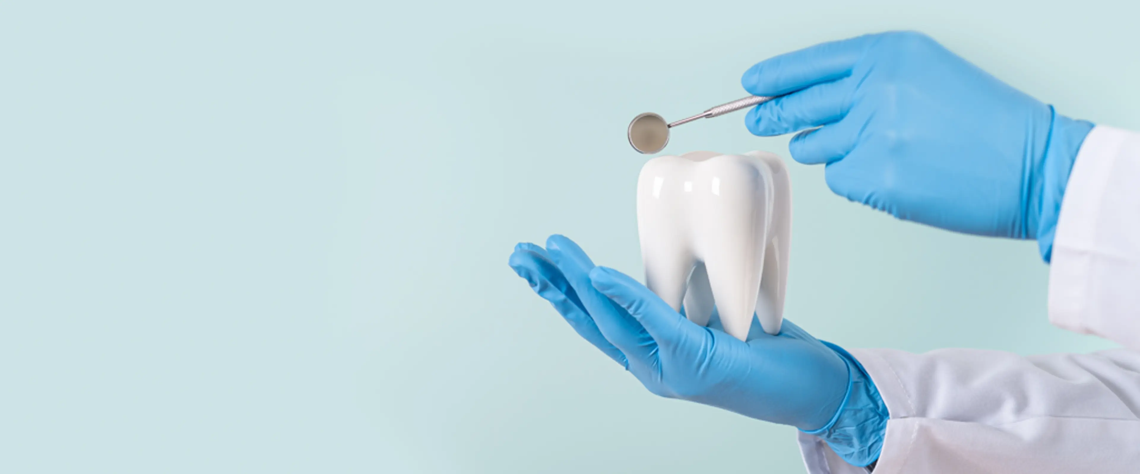 Dr. Se Hong Oh's Dental Clinic