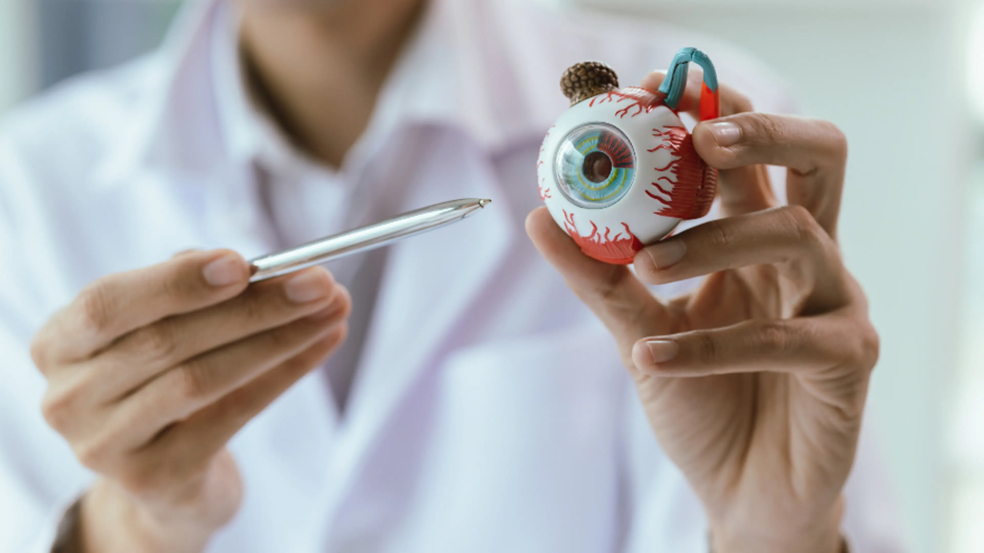 医生在眼科诊所白内障咨询时讲解眼睛解剖模型