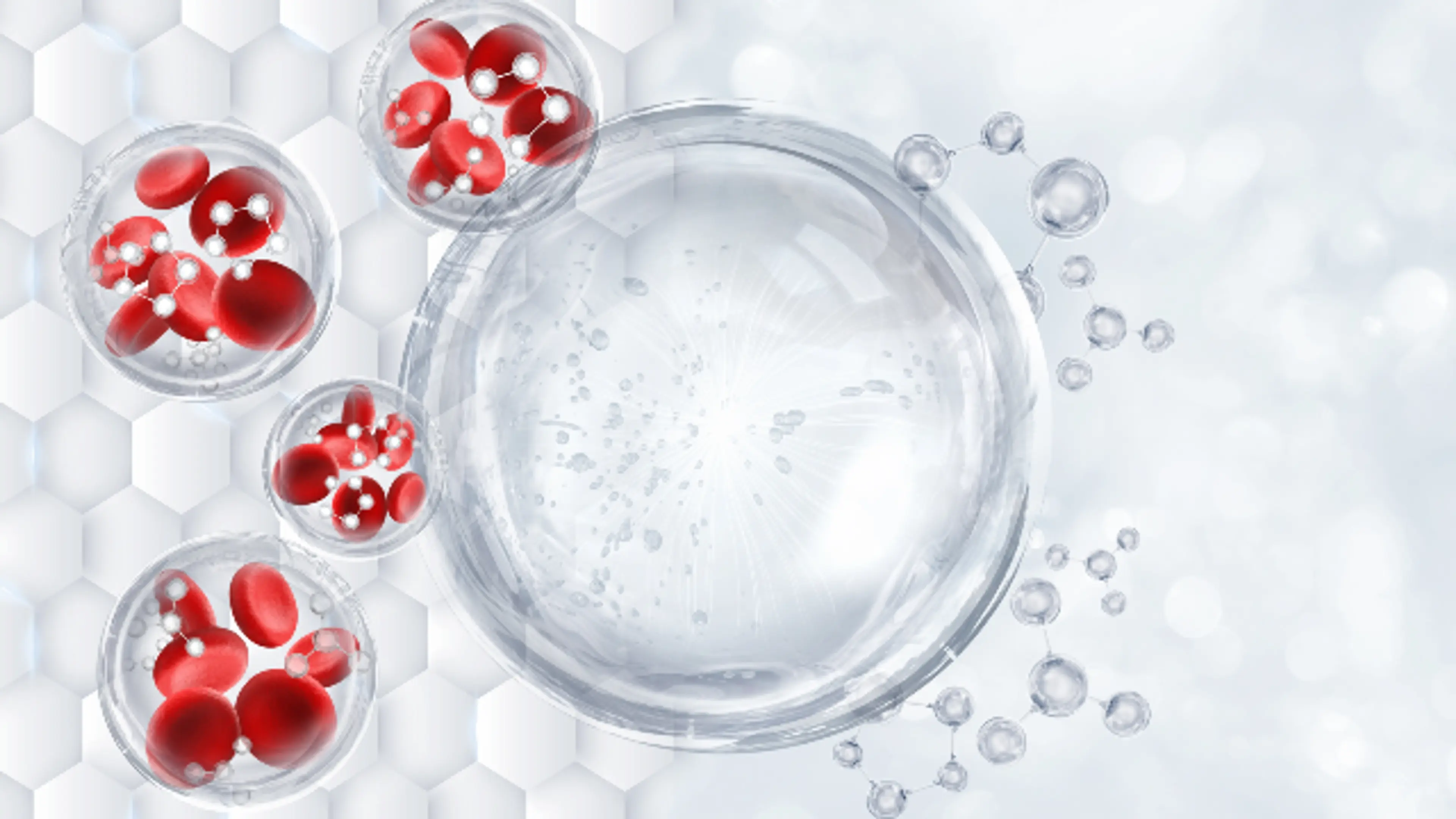 Stem Cell Therapy