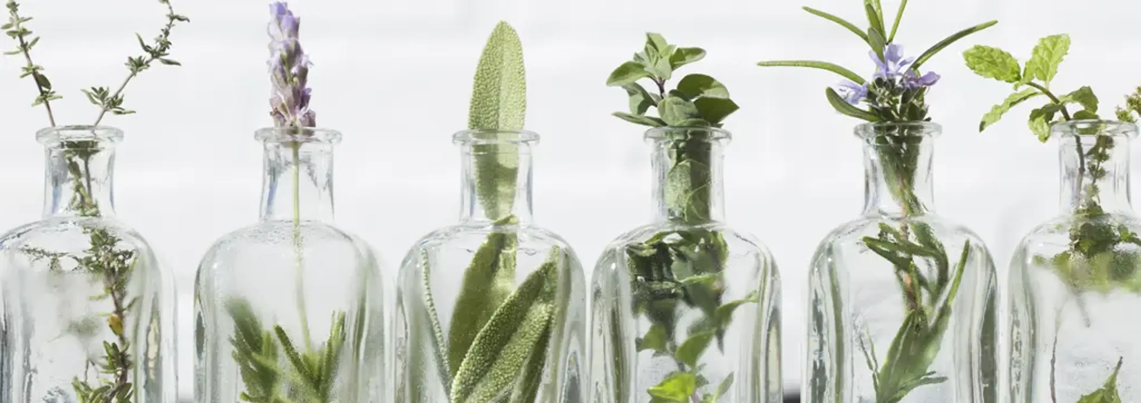 Ekdongmu Korean Acupuncture and Herbal Clinic