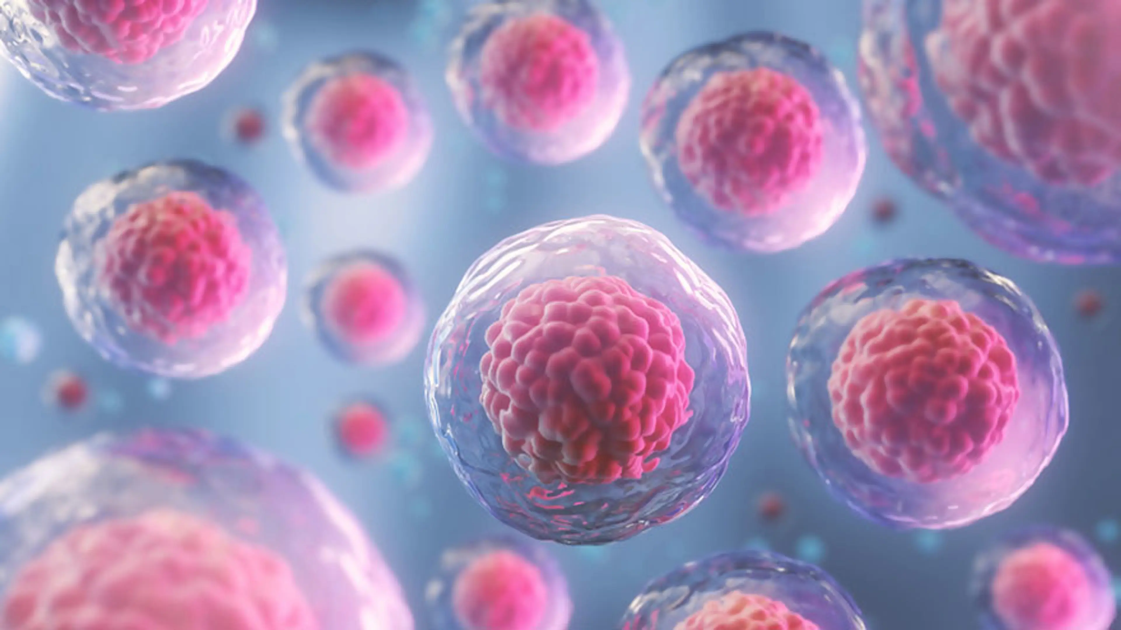 Nerve Regeneration