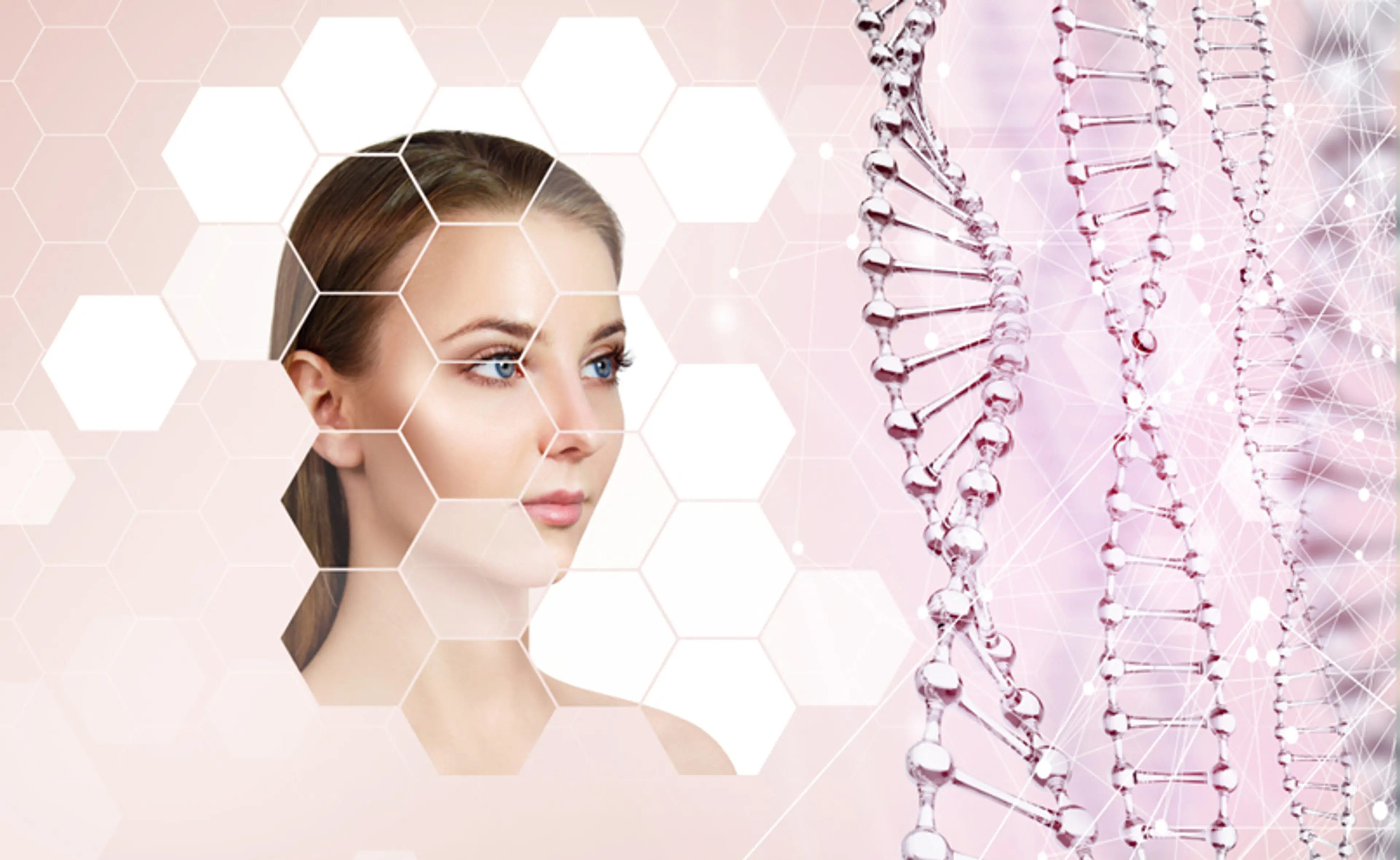 Rejuvenation at the Cellular Level