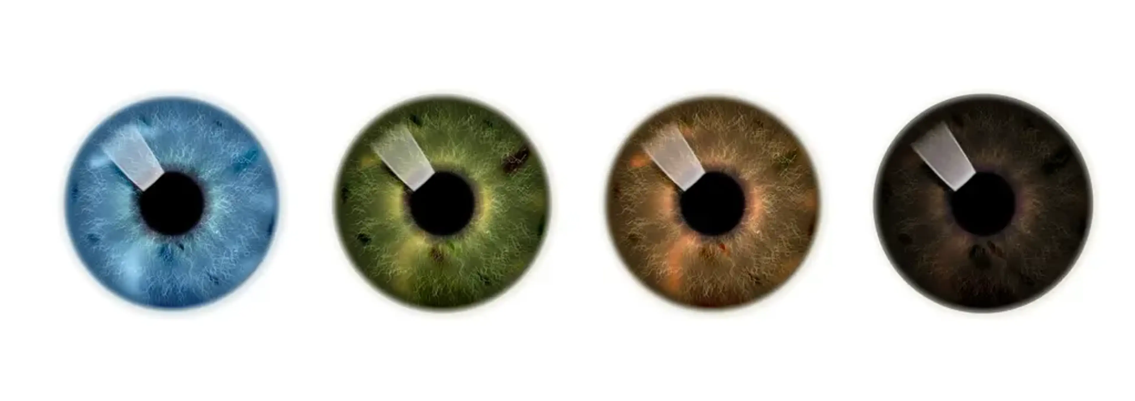 SNU Eye Clinic