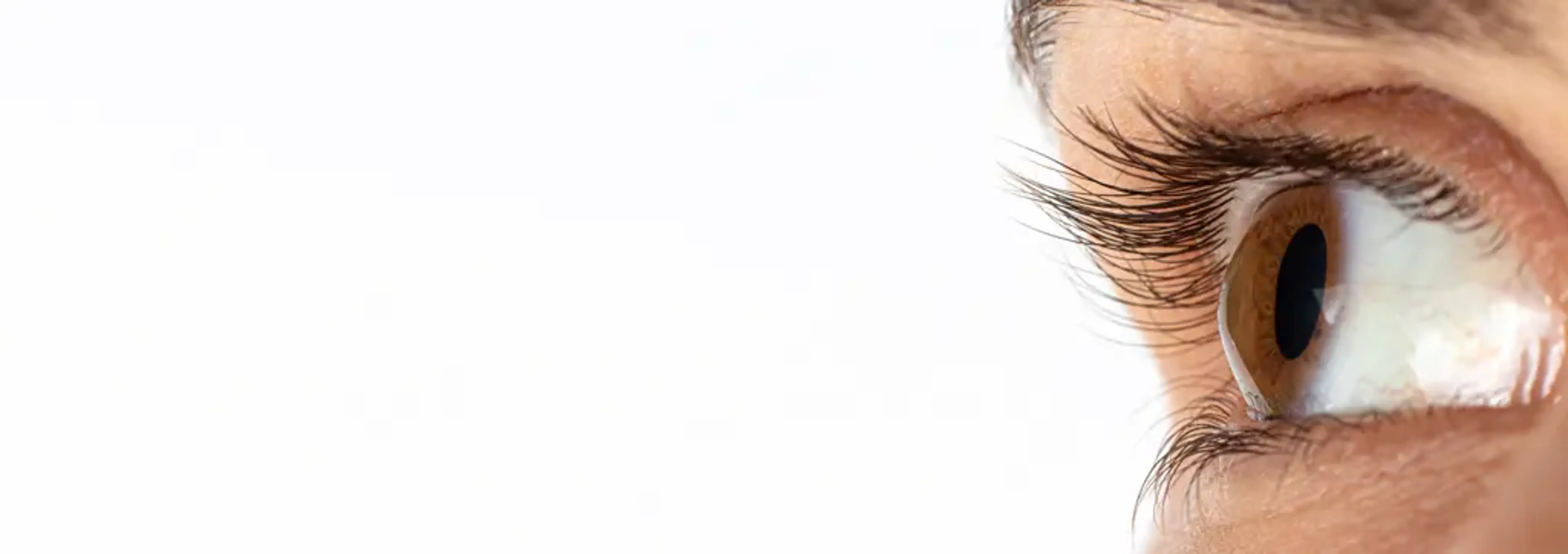 Jryn Eye Clinic