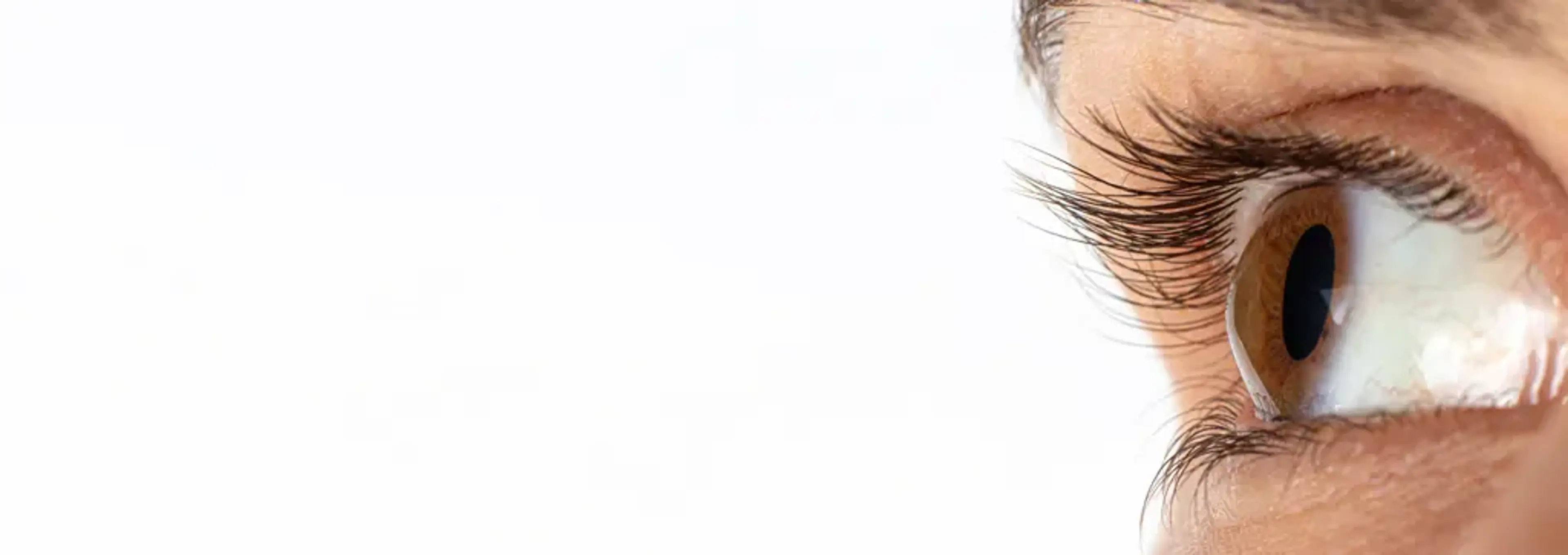 SNU Eye Clinic