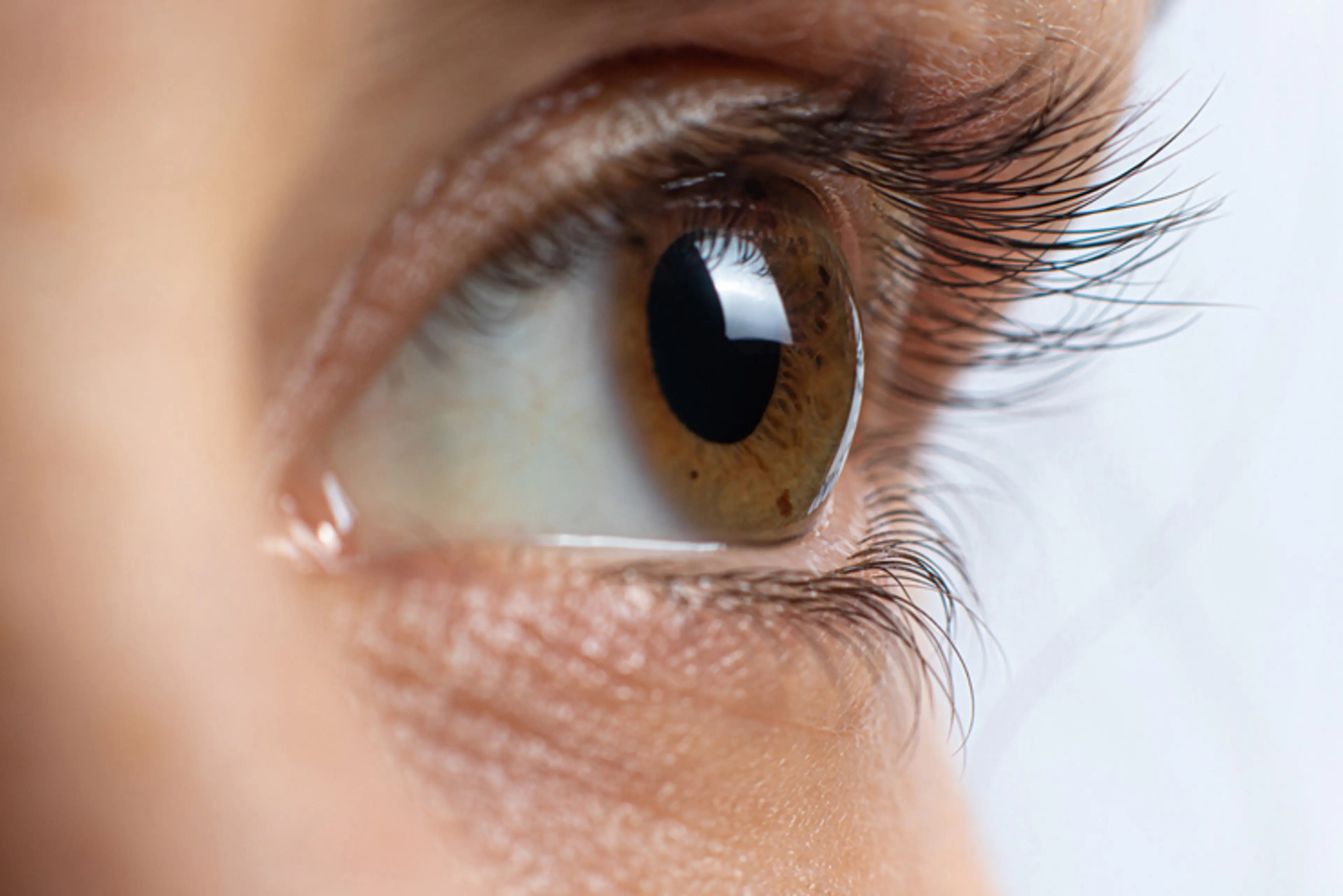 Corneal