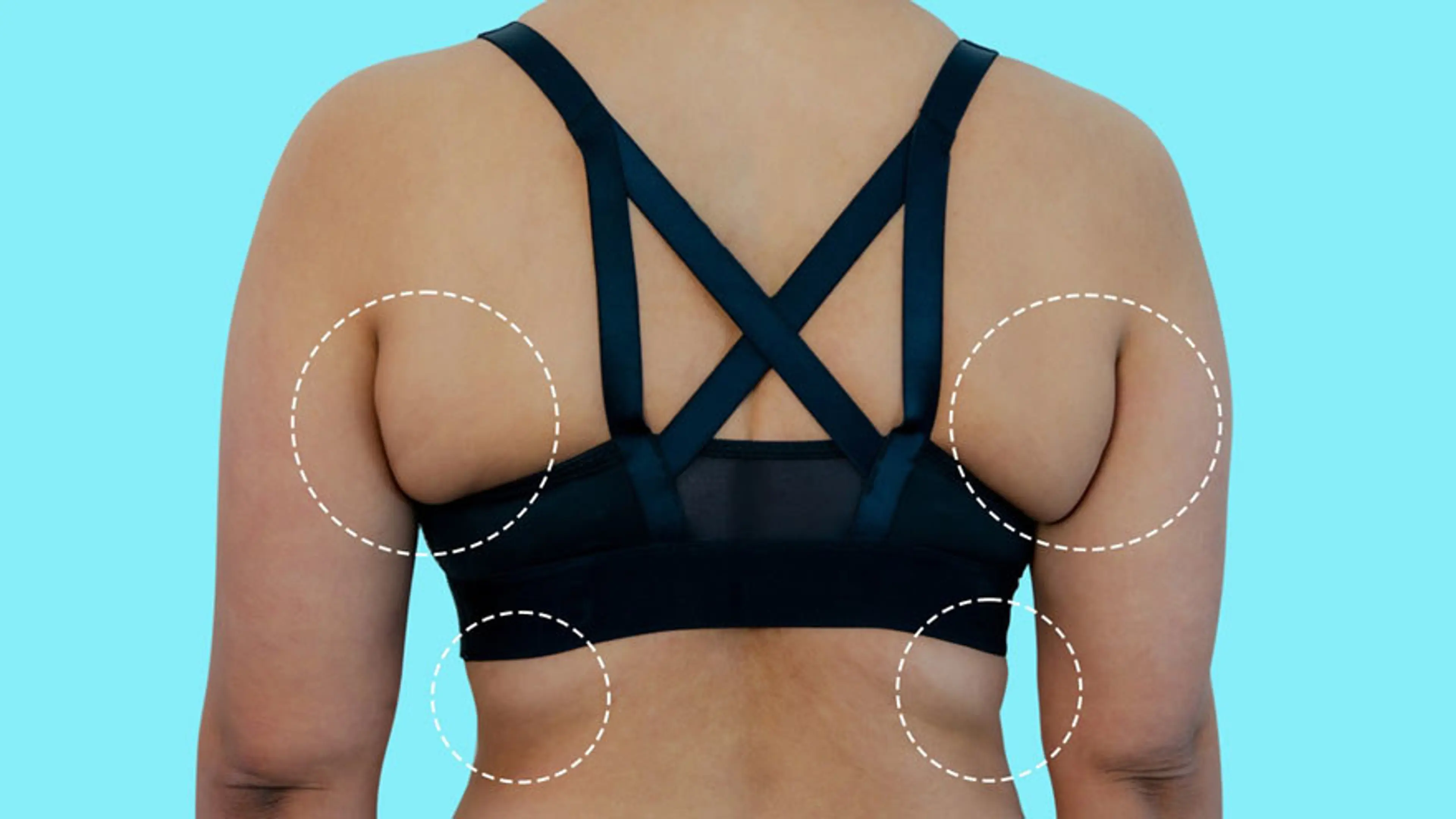 Gain Fat Back