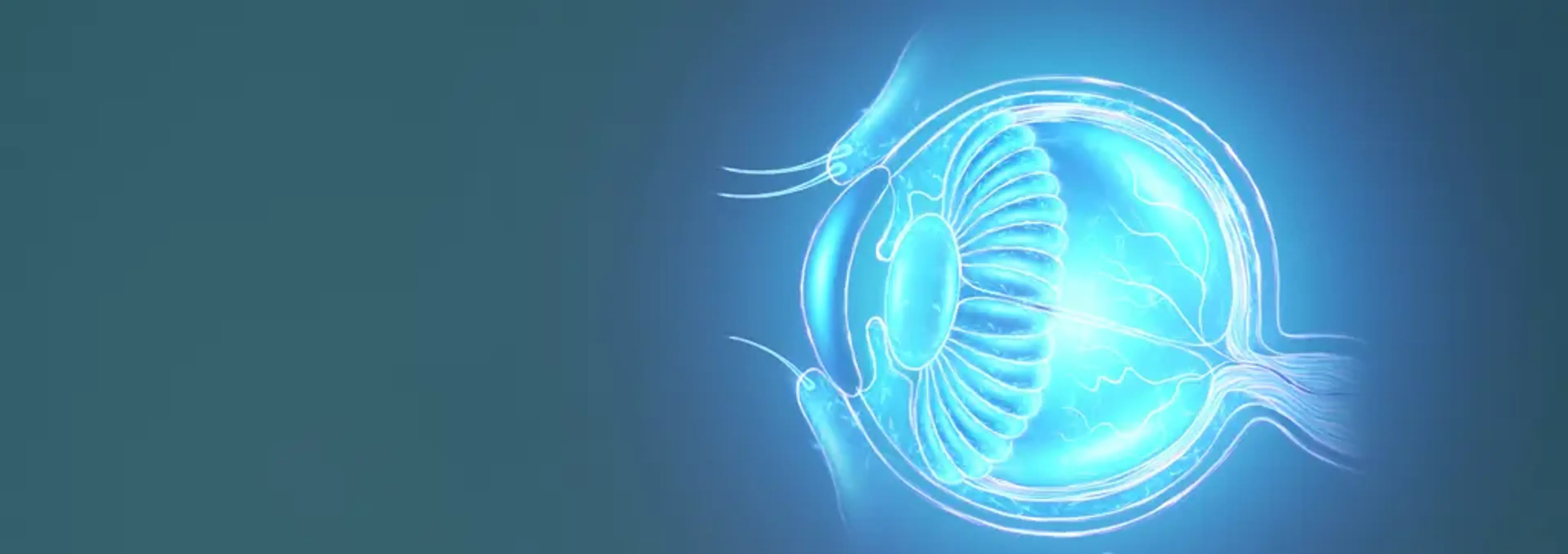 Gangnam Joeunnun Vision Clinic