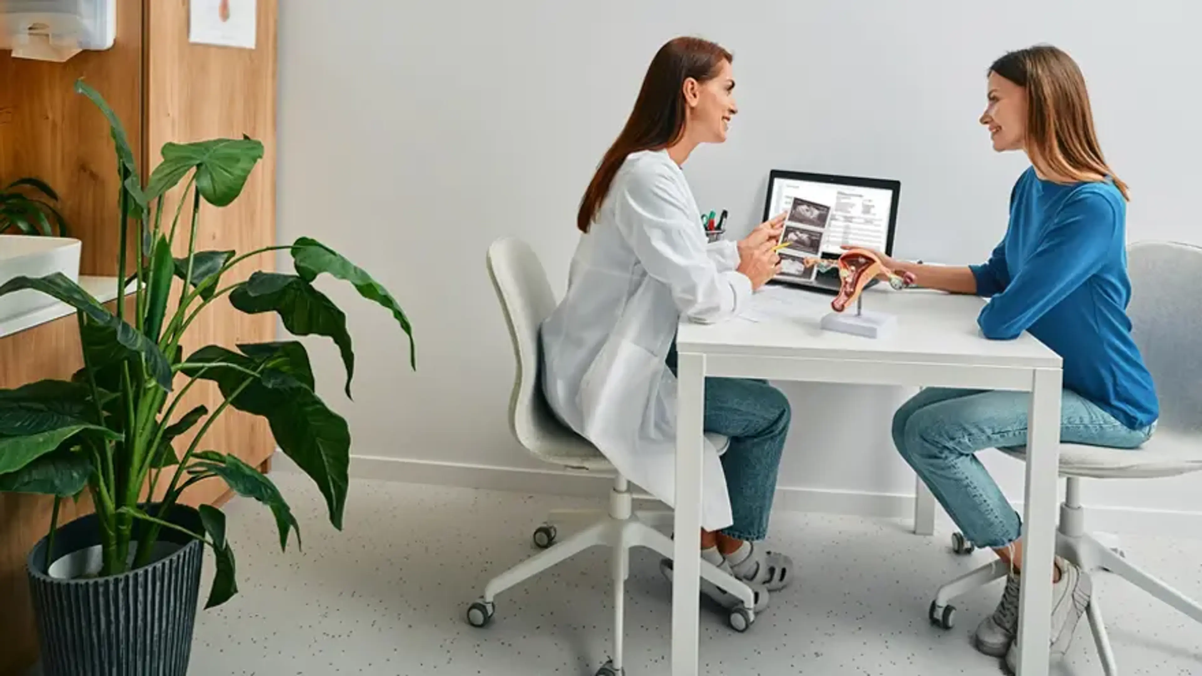 Clitoral Plastic Surgery in South Korea