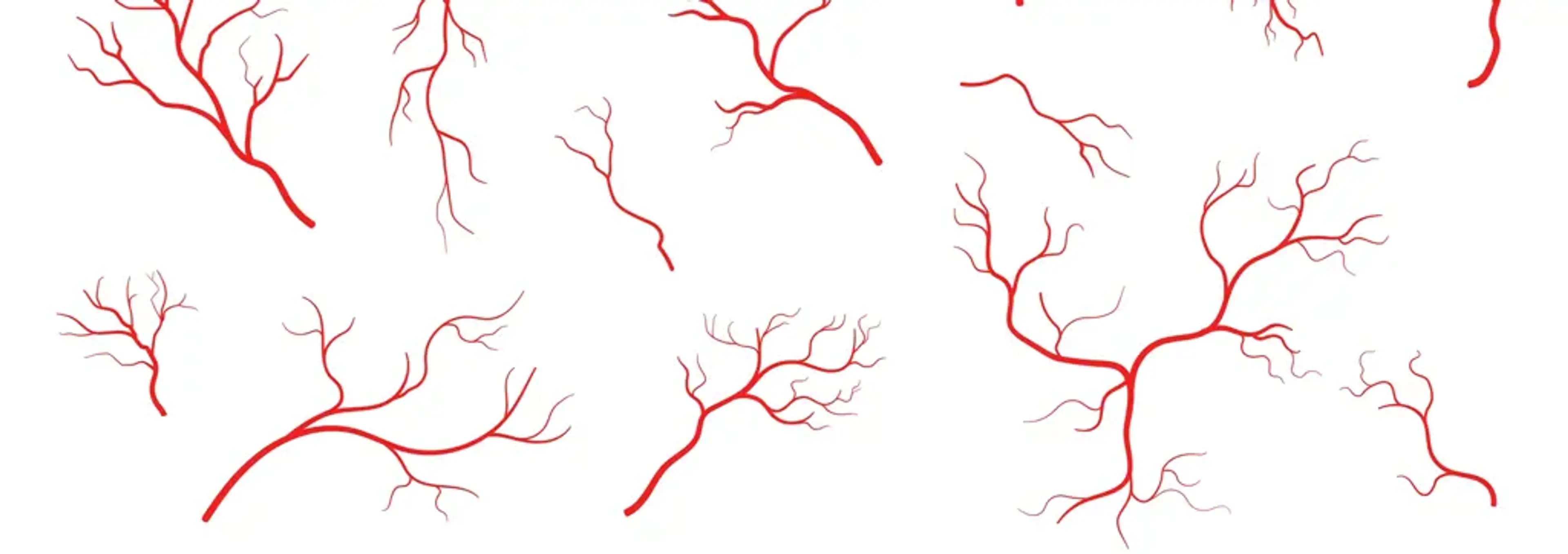 Charm Vascular Clinic