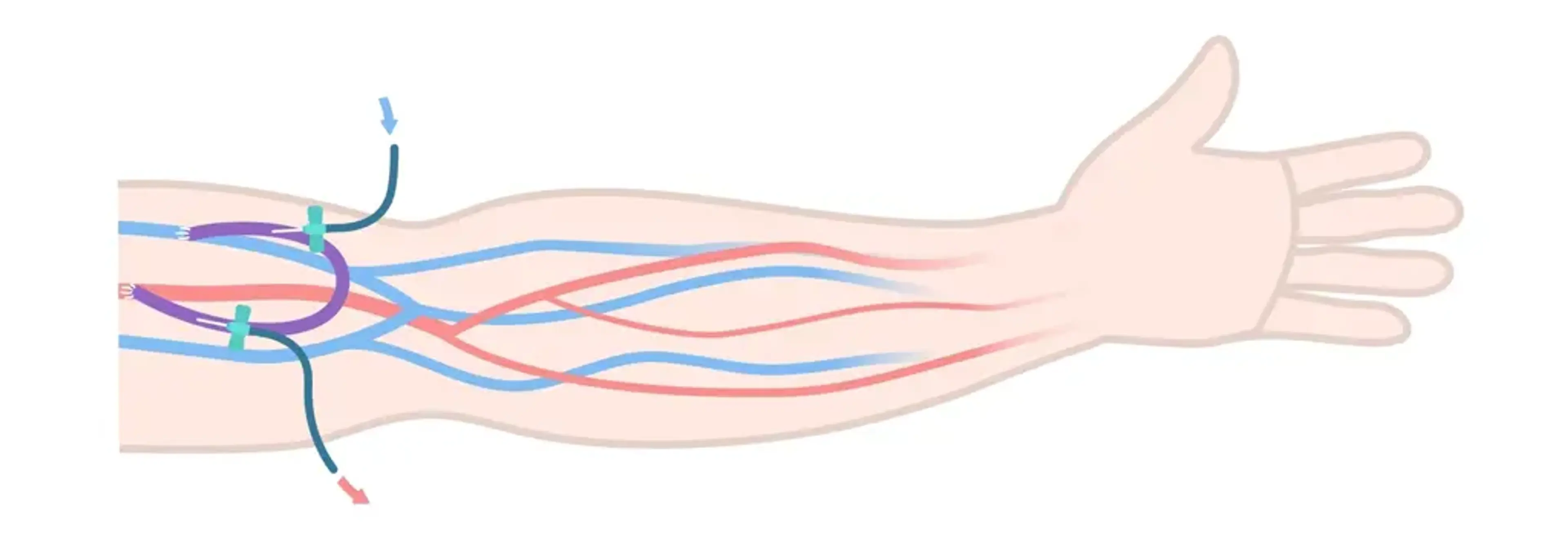 Charm Vascular Clinic