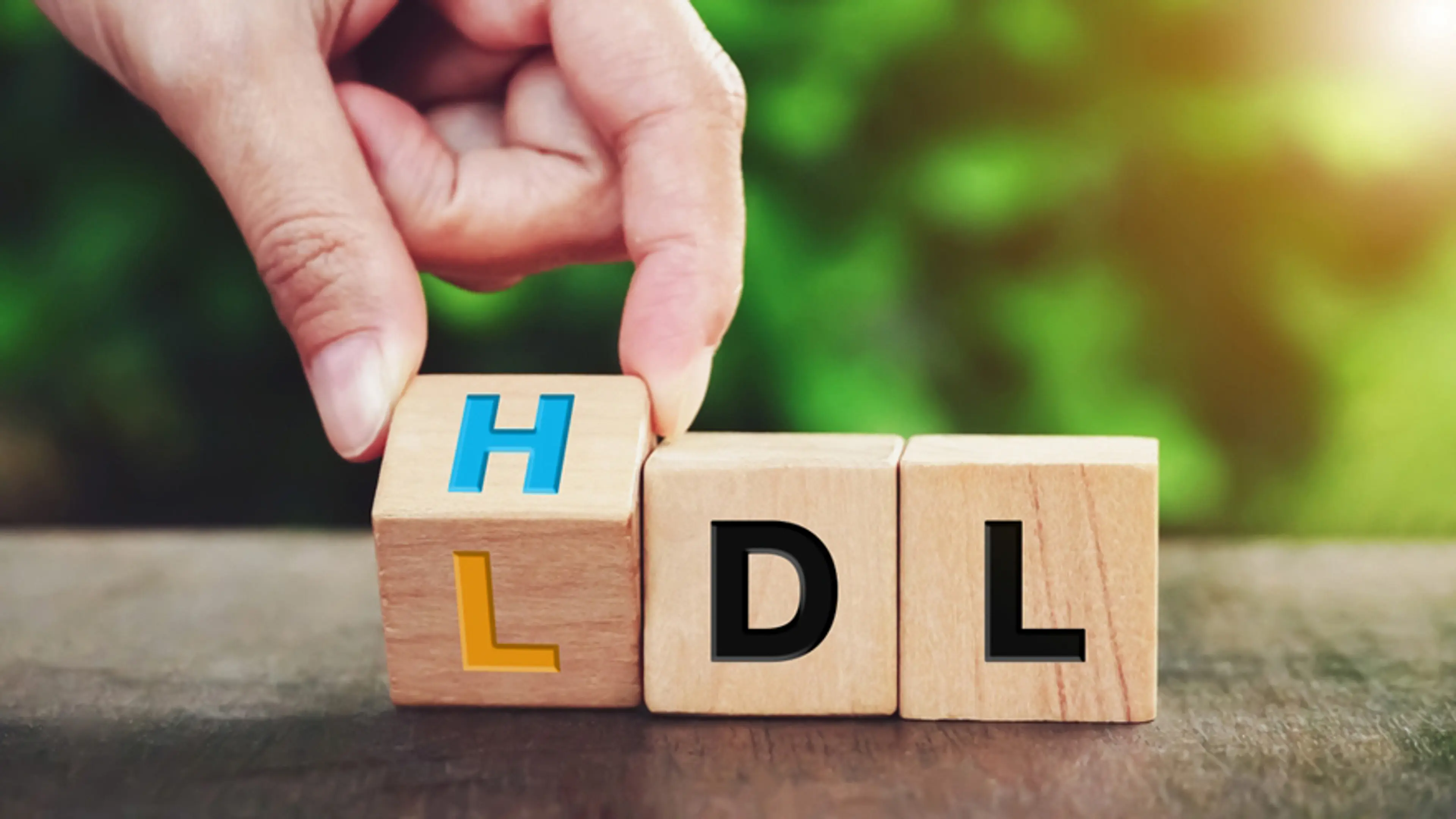HDL (高密度脂蛋白)