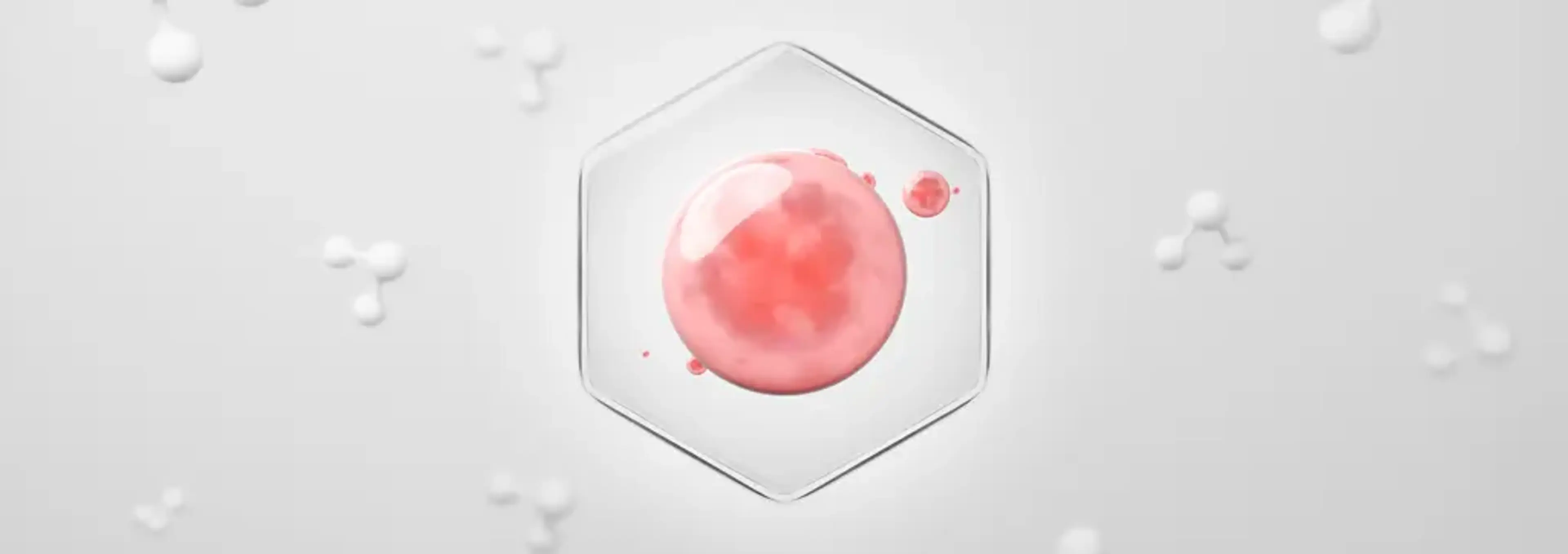 MiraeCell Clinic
