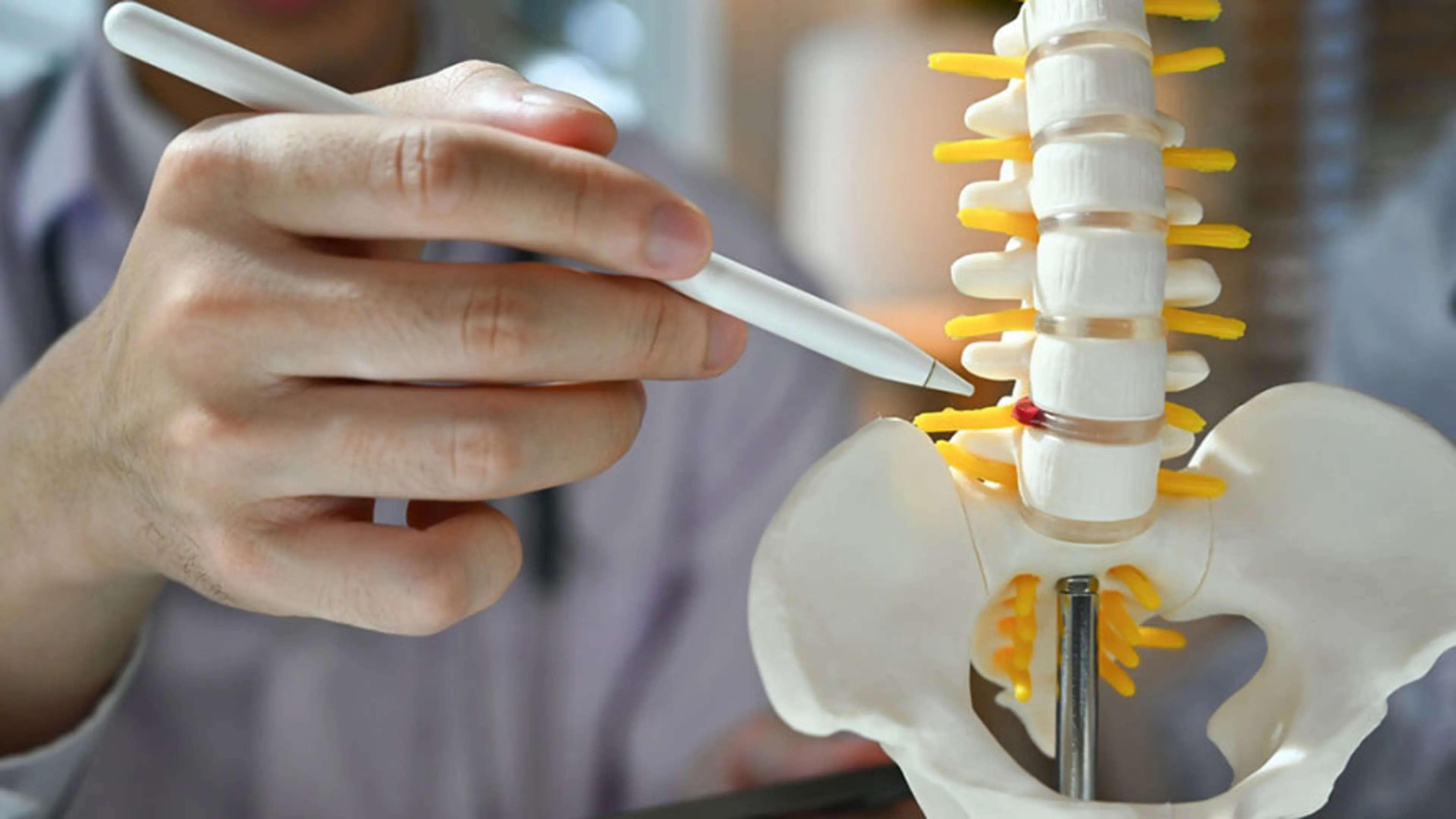 Spinal Conditions