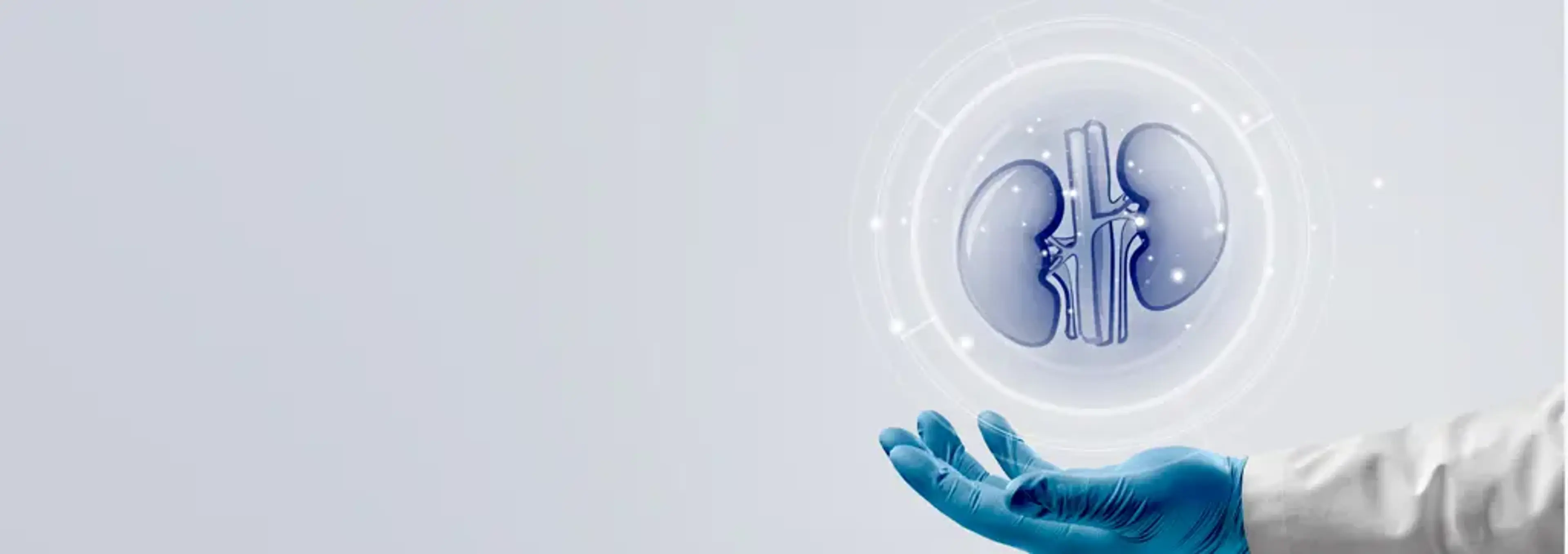 Dekabi Stem Cell Clinic