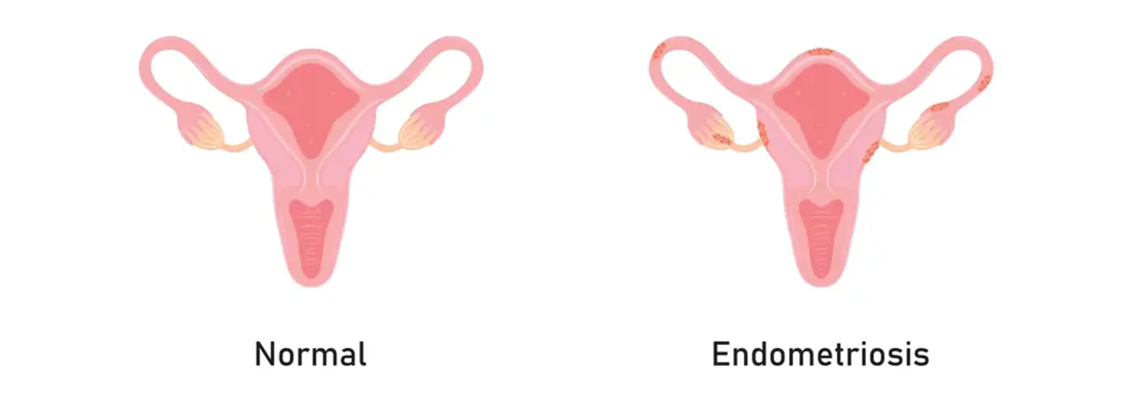 Second Spring Women's Clinic