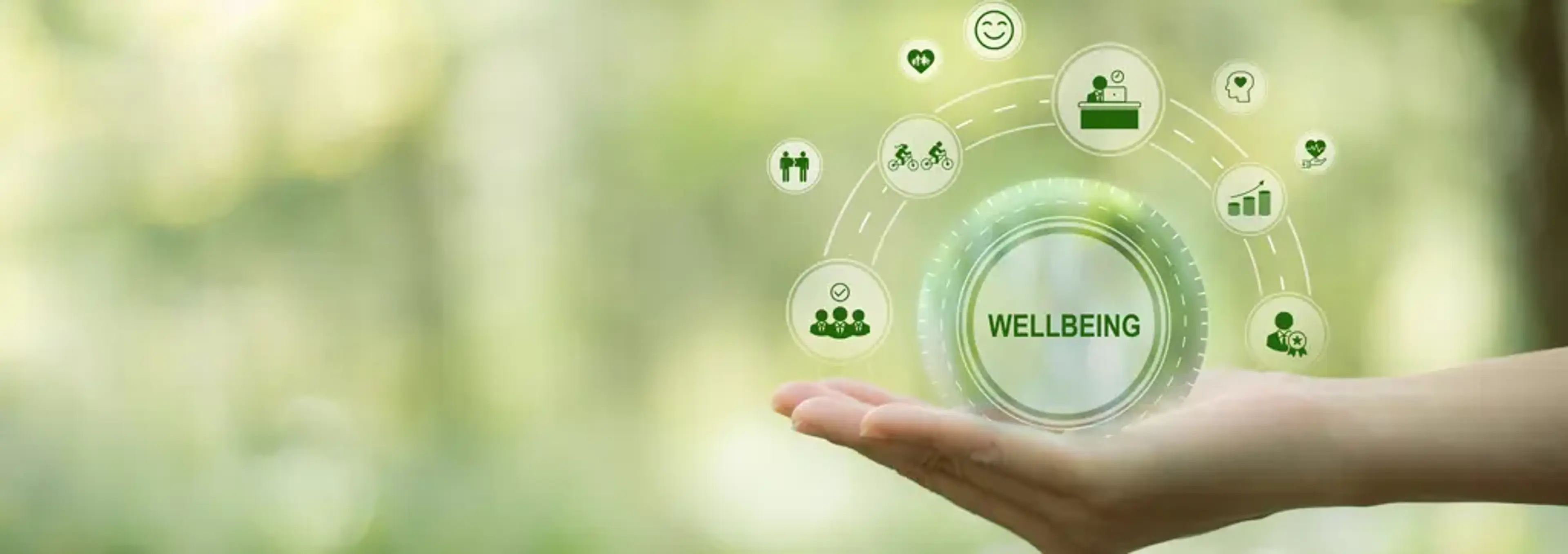 Dekabi Stem Cell Clinic