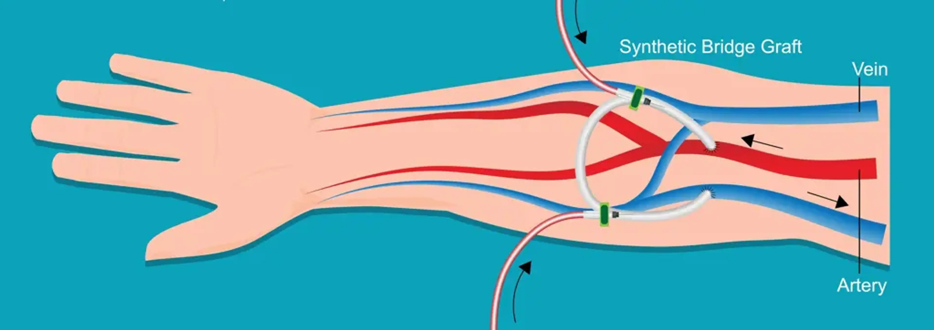 Charm Vascular Clinic