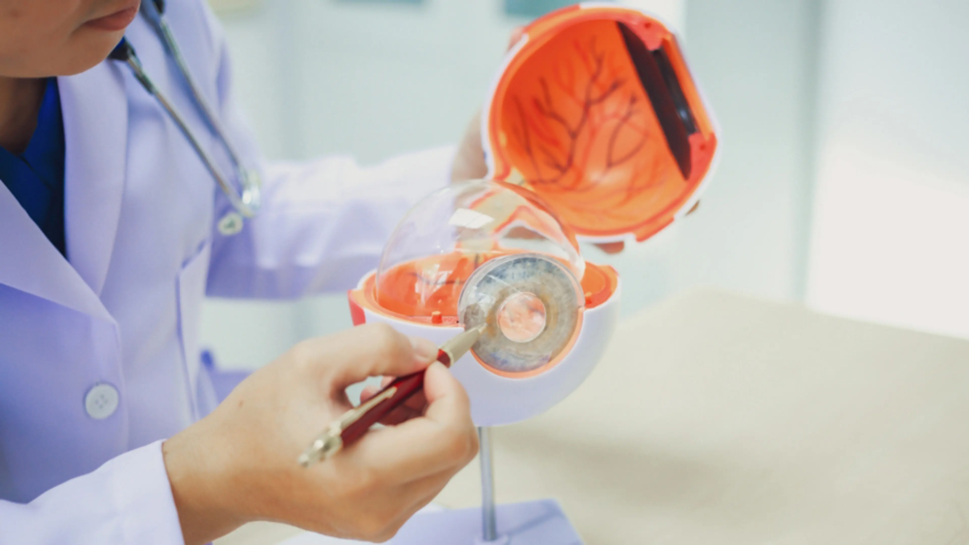 Early Signs of Retinal Disease You Should Never Ignore
