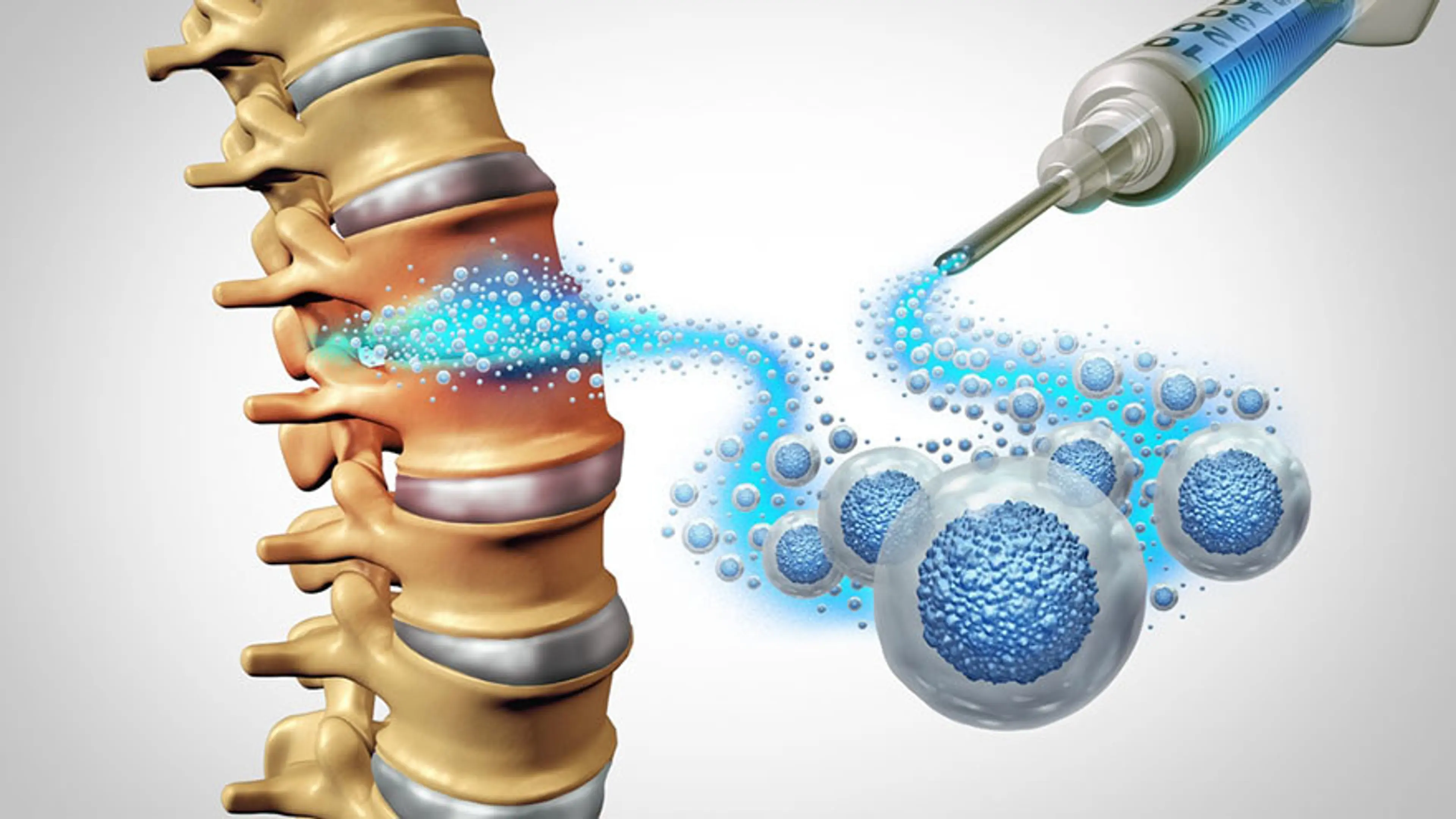 Nerve Regeneration