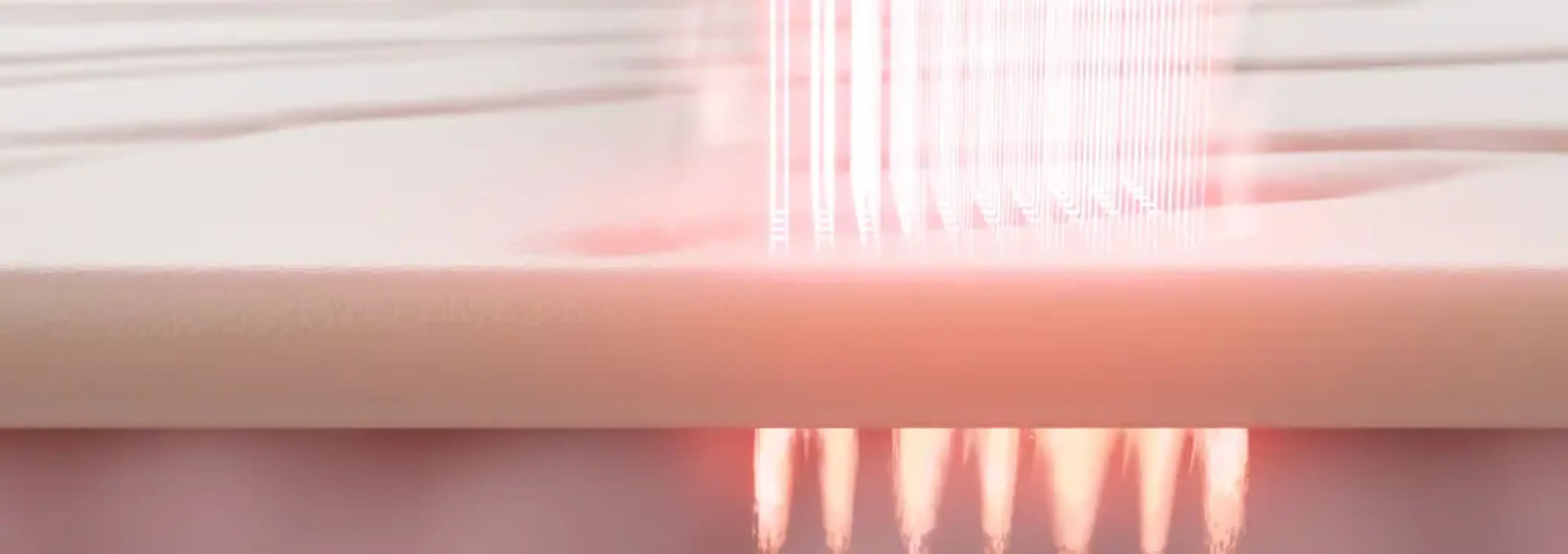 DoctorPetit Myeongdong