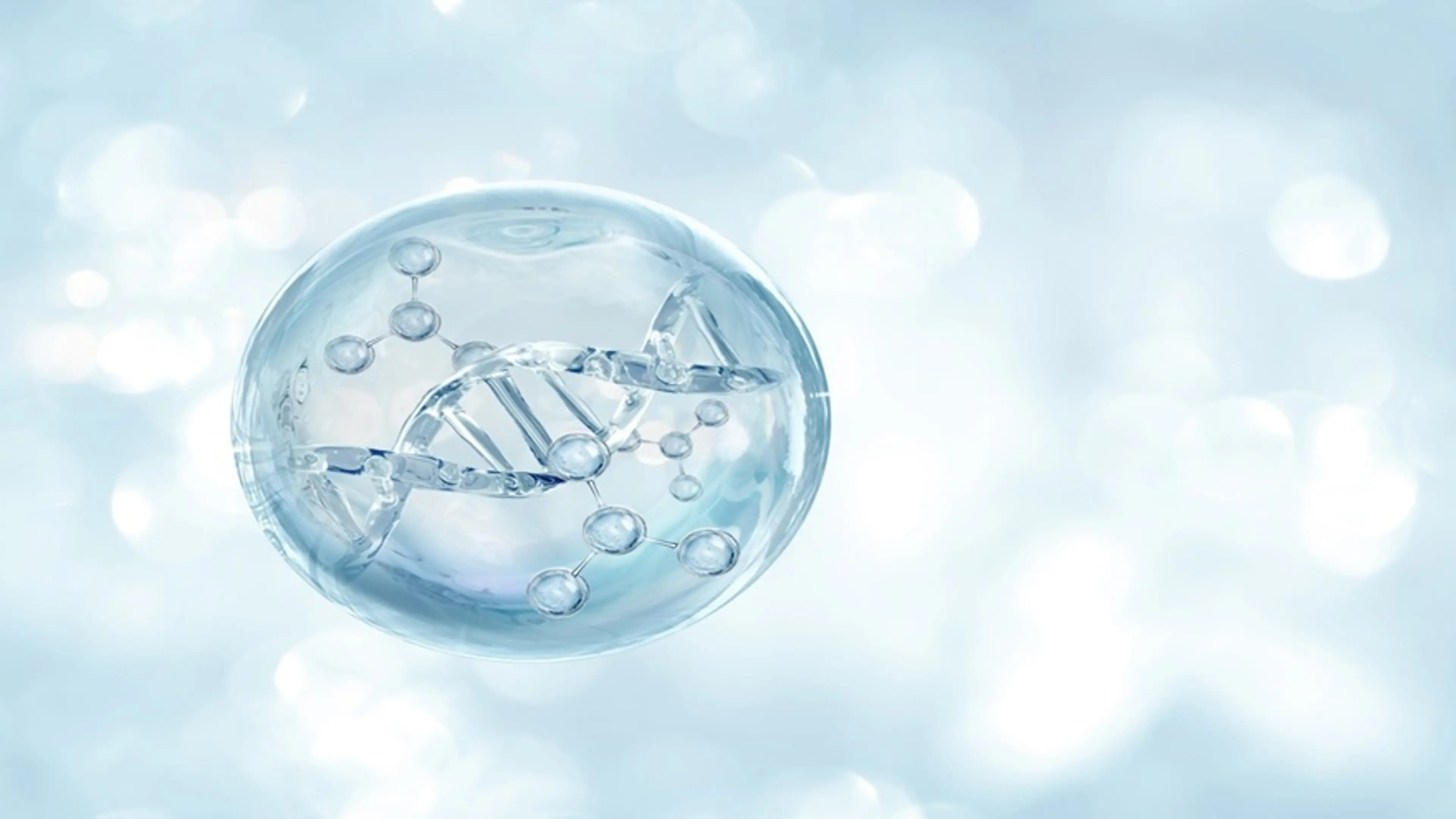Stem Cells