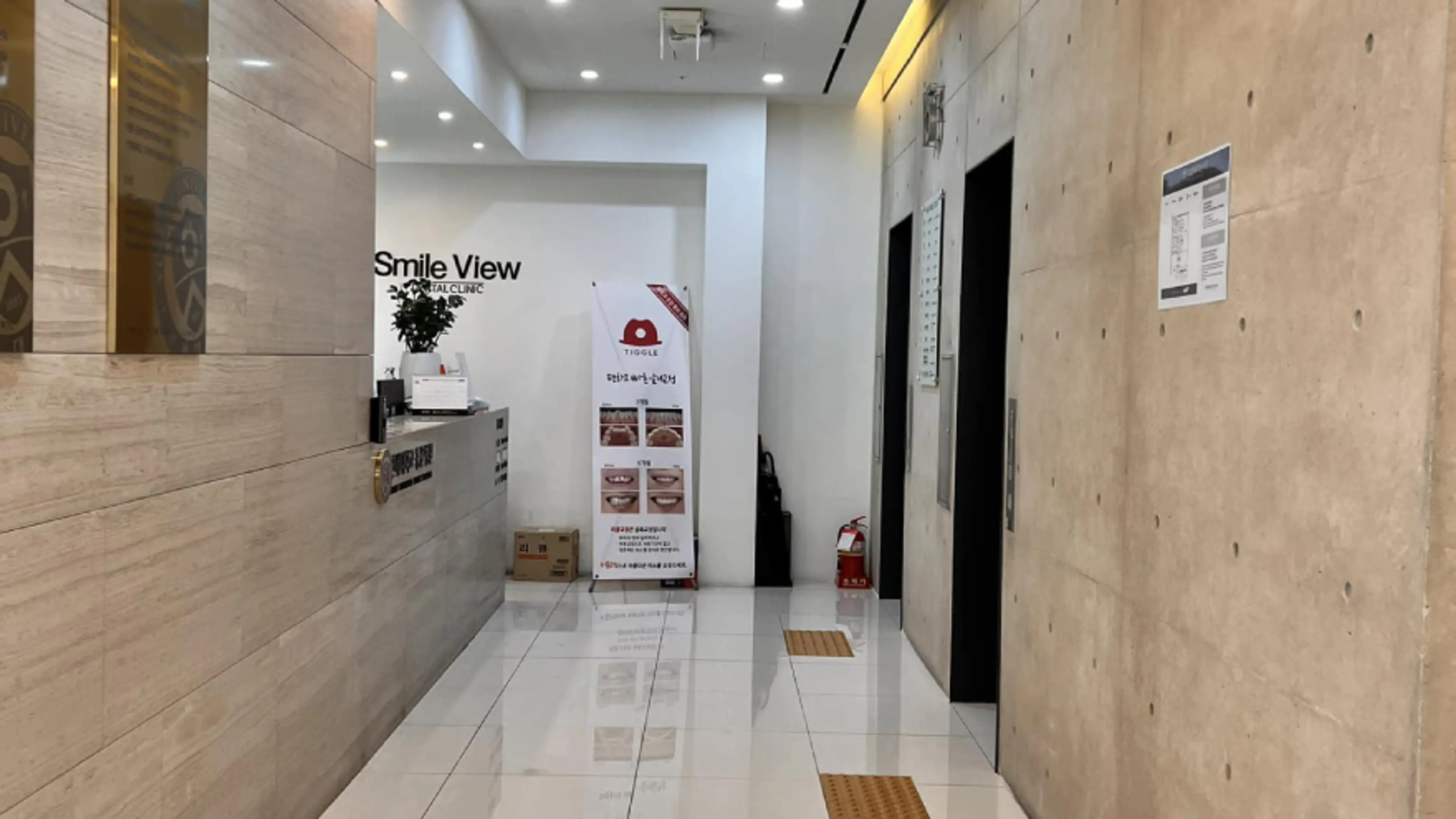 Dental implant in korea
